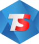 Techswit Logo